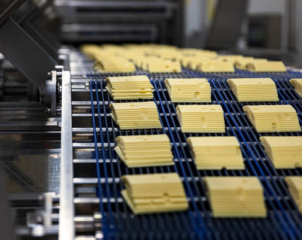 Sliced Swiss cheese on a conveyor belt