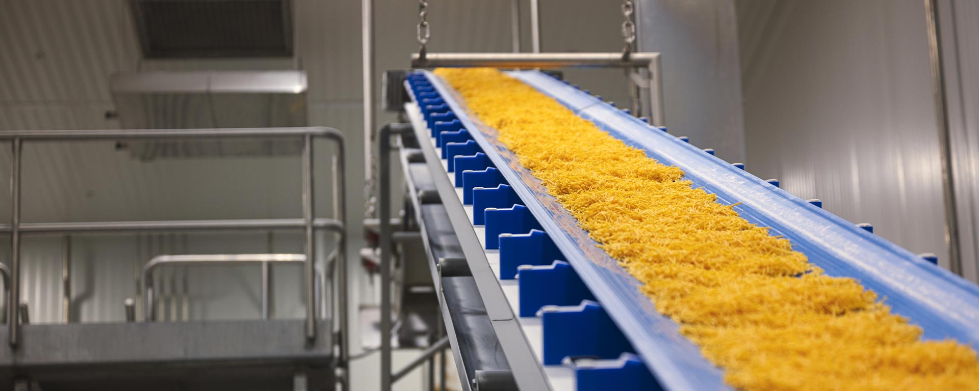 Shredded cheese being sorted during production