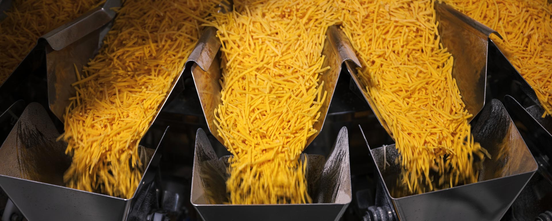 Shredded cheese being sorted during production